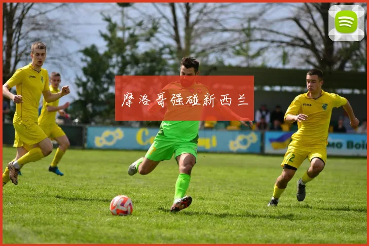 摩洛哥强碰新西兰