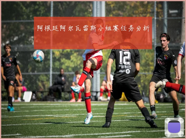阿根廷阿尔瓦雷斯小组赛任务分析