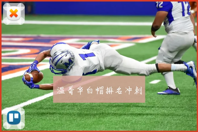 温哥华白帽排名冲刺