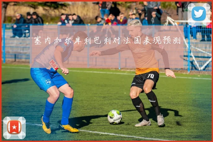 塞内加尔库利巴利对法国表现预测