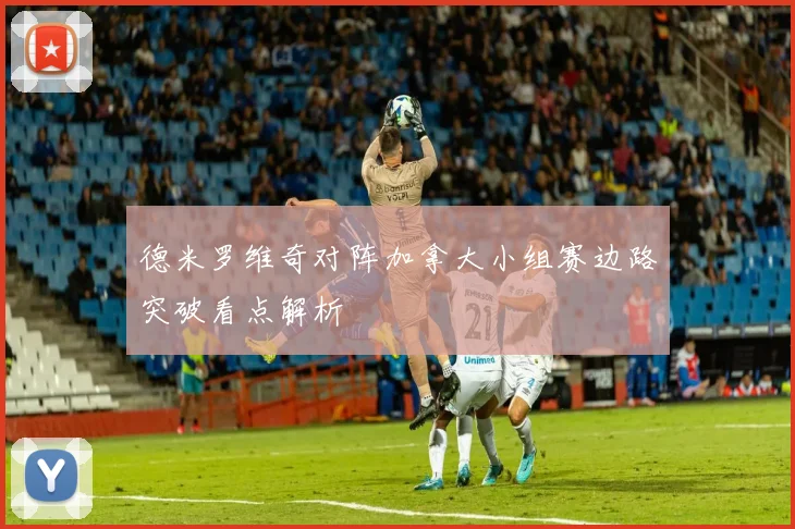 德米罗维奇对阵加拿大小组赛边路突破看点解析