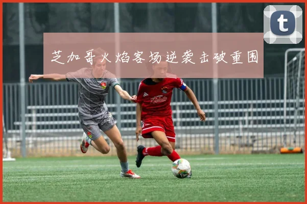 芝加哥火焰客场逆袭击破重围