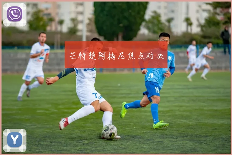 芒特楚阿梅尼焦点对决