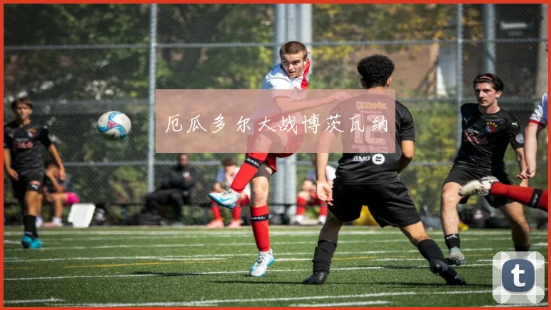 厄瓜多尔大战博茨瓦纳