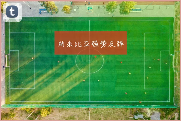 纳米比亚强势反弹