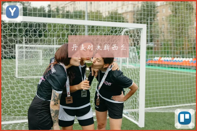 丹麦对决新西兰