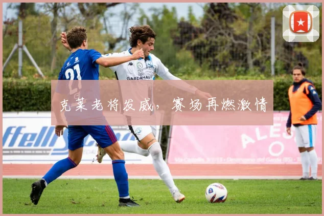 克莱老将发威，赛场再燃激情