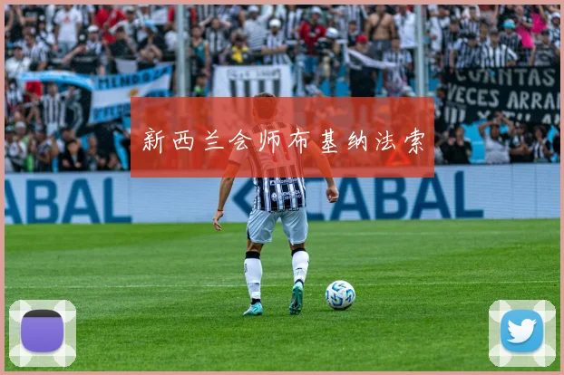 新西兰会师布基纳法索