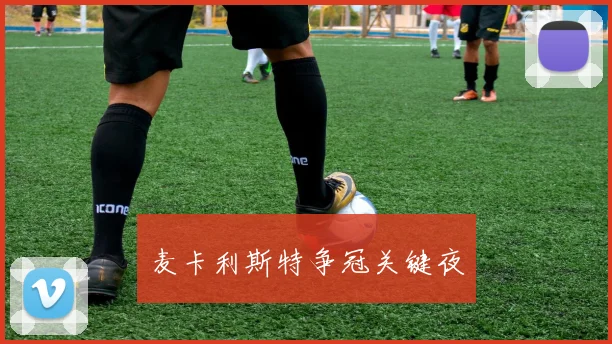 麦卡利斯特争冠关键夜