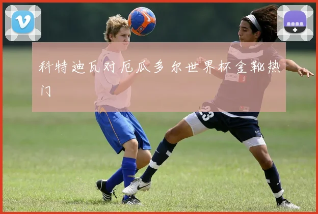 科特迪瓦对厄瓜多尔世界杯金靴热门