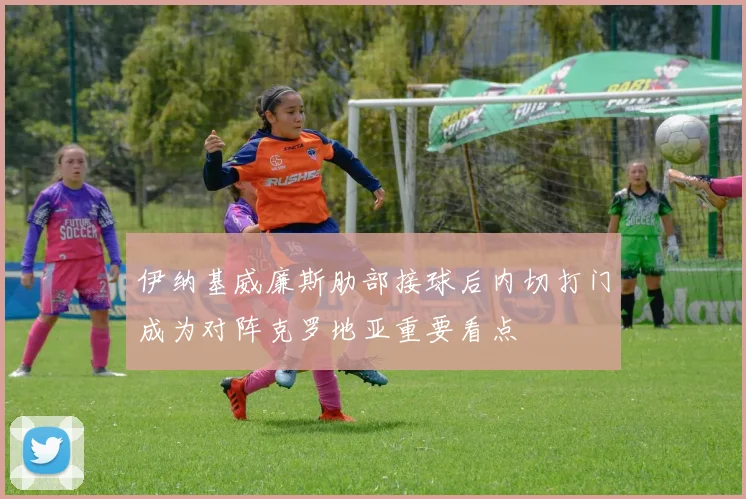 伊纳基威廉斯肋部接球后内切打门成为对阵克罗地亚重要看点