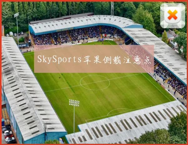 SkySports苹果侧载注意点