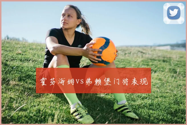 霍芬海姆vs弗赖堡门将表现